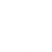 Dynamic tests